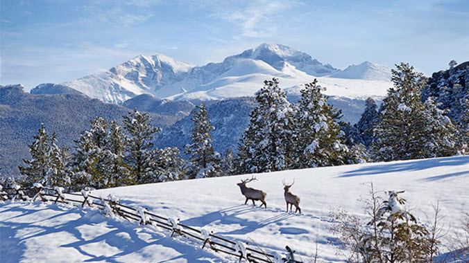 Rocky Mountain National Park in Winter: How to Plan Your Adventure