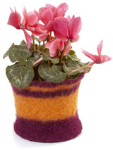 Flower Pot