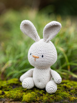 Johnny the Bunny