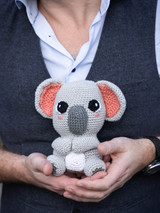Jasper the Koala