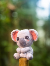 Jasper the Koala