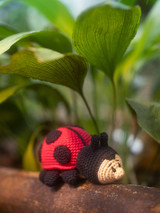 Willbur the Ladybug