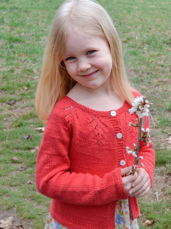 Wynn Berroco Yarn wynn-berroco-yarn