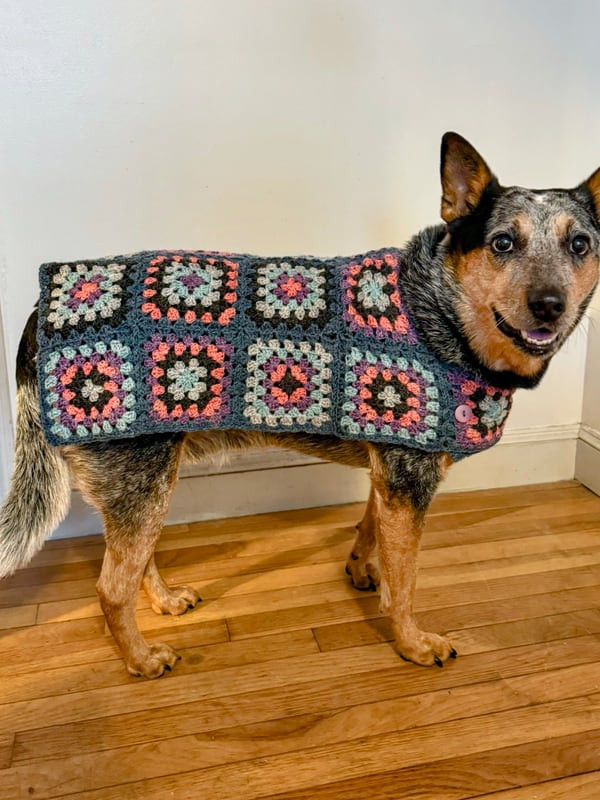 トップス UNUSED Gourd pattern mesh dog ear jacket Odie