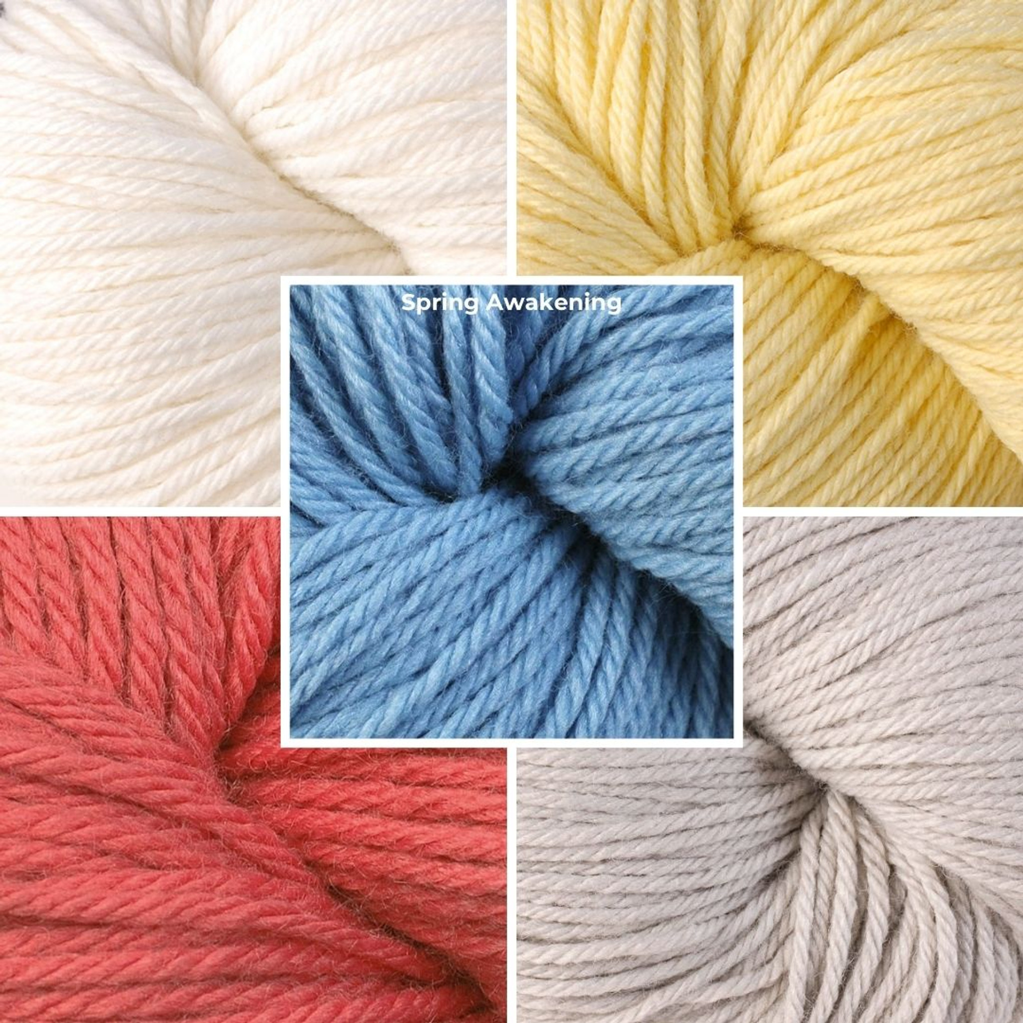 Berroco Mystery Blanket Knit Along