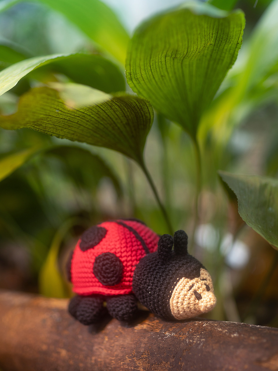 Amiguroomie by Mr. Knitbear & Dendennis