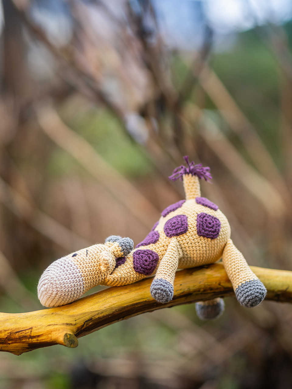 Amiguroomie by Mr. Knitbear & Dendennis