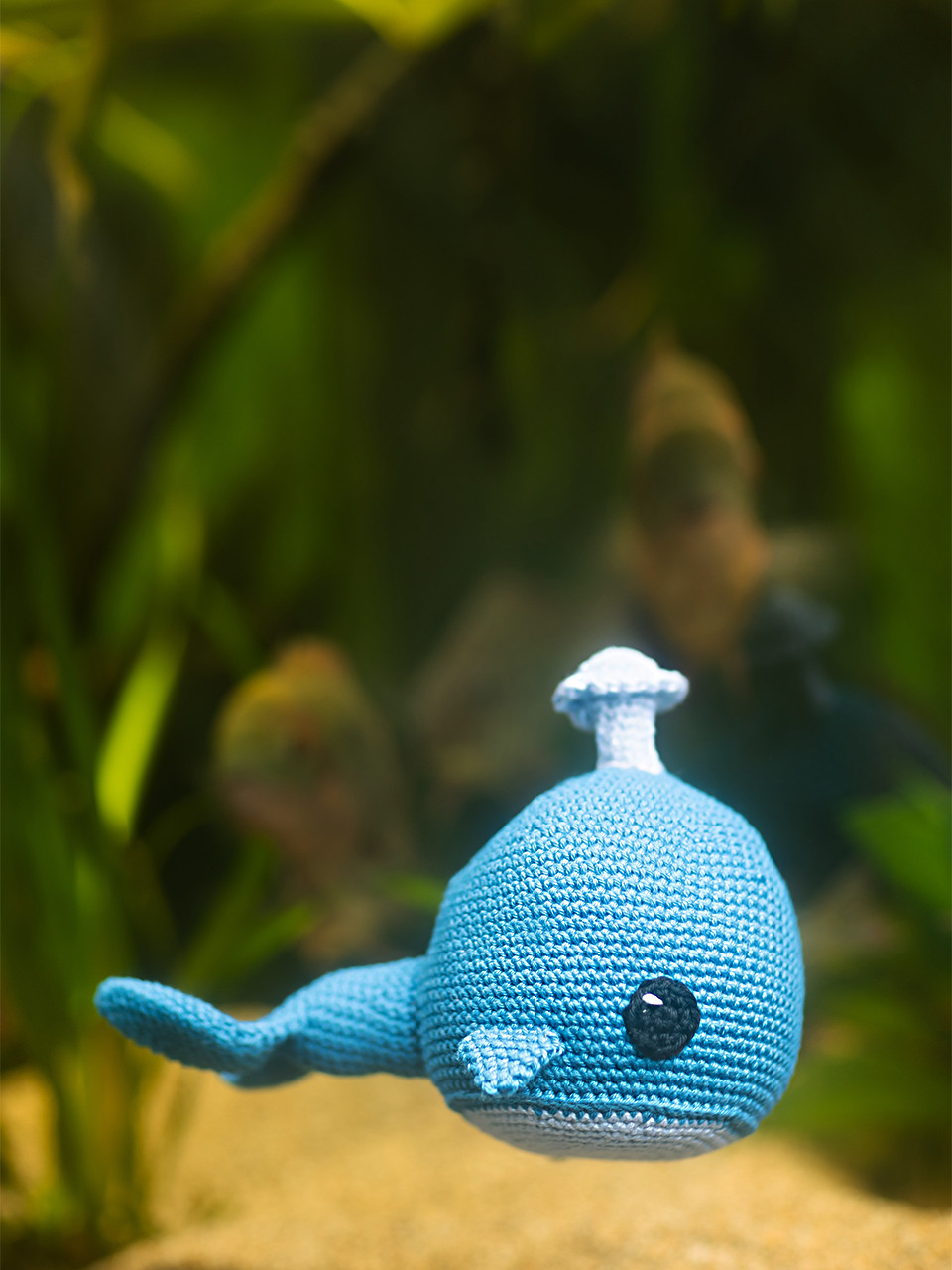 Zohra the Whale