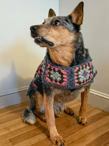 Odie dog sweater crocheted in Berroco Lanas Light