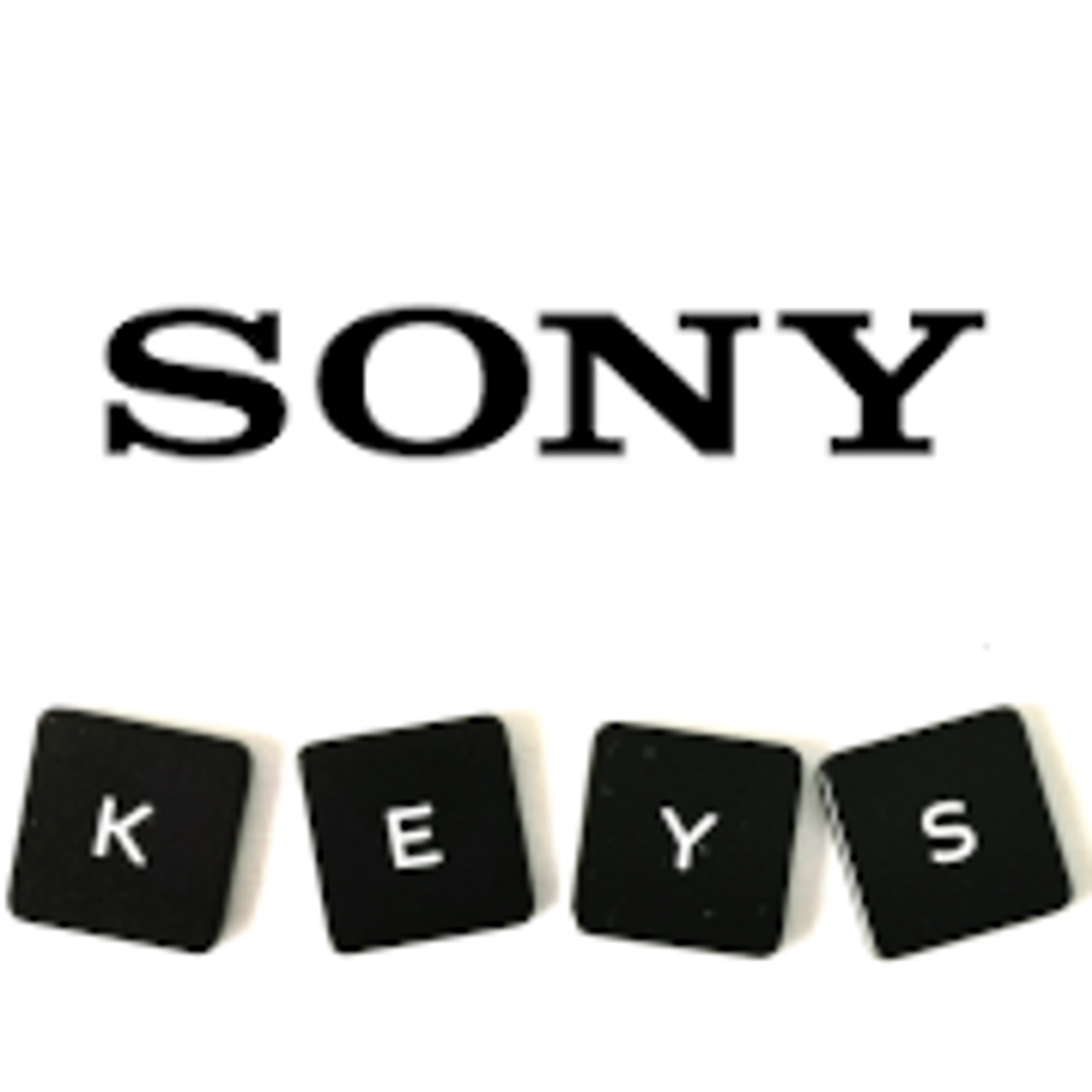 SONY Metal Logo Sticker For Laptop PC Tablet Desktop Computer Mobile  Digital Camera Personalized DIY Decoration - AliExpress