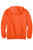 Carhartt® Midweight Hooded Sweatshirt