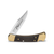 Buck® Folding Hunter Lockback Knife