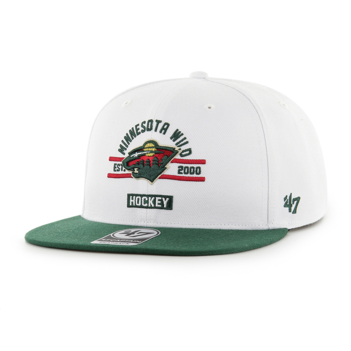 Women's Minnesota Wild Confetti Icon Hat