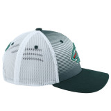 Minnesota Wild Big Rig Flare Adjustable Hat