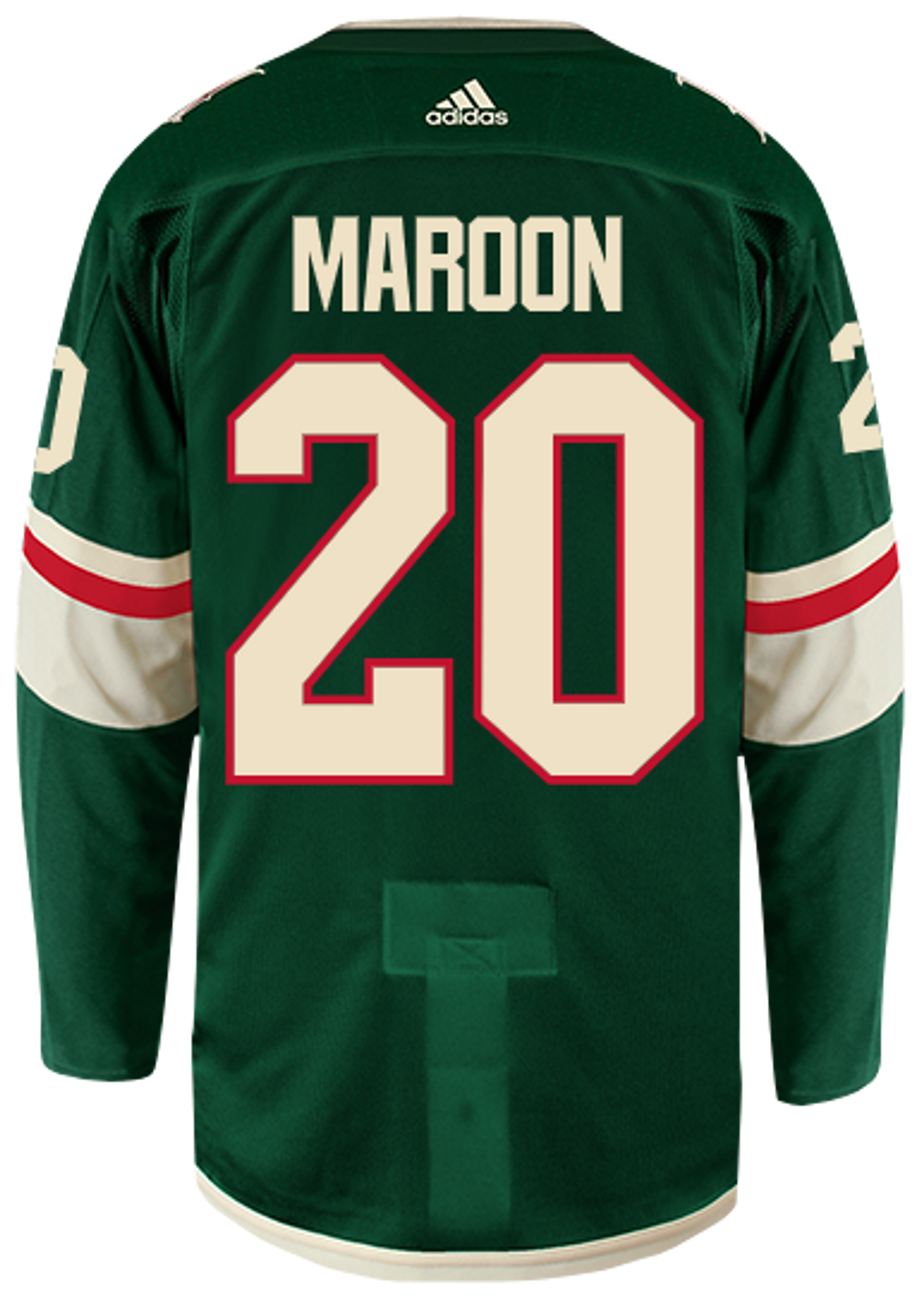 2041546J942536056 minnesota wild hockey nhl (66) NHL Sports