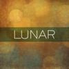 Enduratex Endurasoft Lunar LUN-1400 Vinyl Fabric Burgundy 54" Wide By the Yard