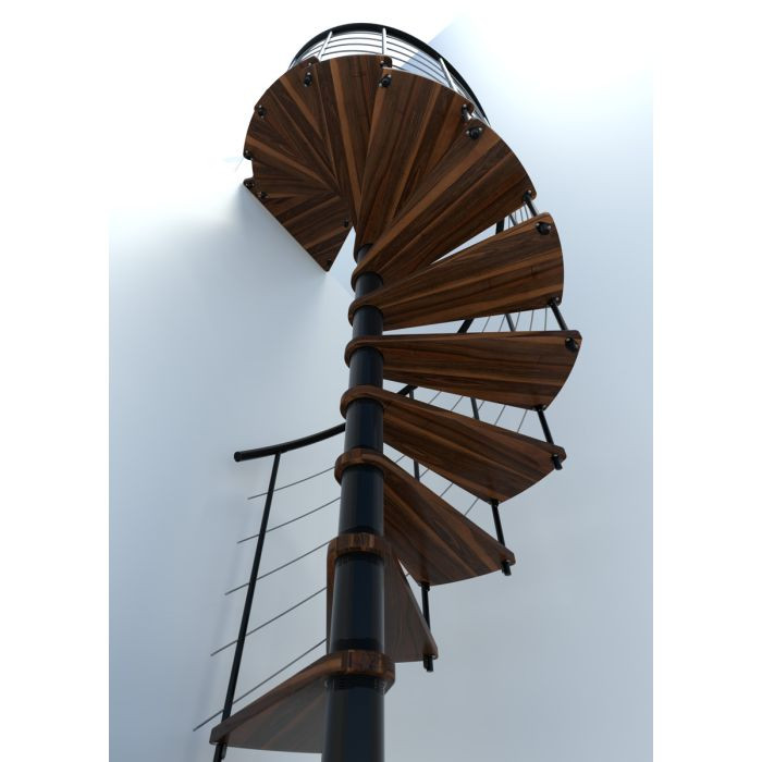 Looking up Under-side View