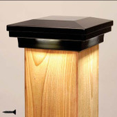 FortressAccents Down Light Cap