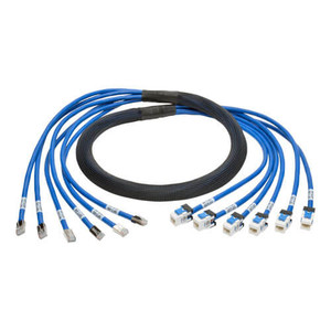 Eaton N261-006-6MF-BL - 6FT CAT6A UTP TRUNK CBL BLUE