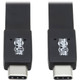 Eaton U420-003-G2-FL - 3FT USB 3.1 GEN2 C/C G2 FLTCBL