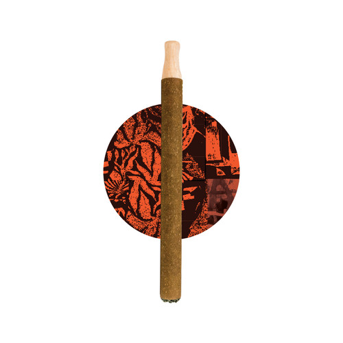 Dougie Blunts - Amnesia Haze - 1 gram