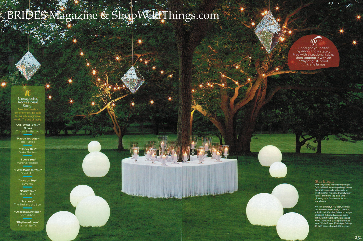 Brides Magazine - ShopWildThings String Table!