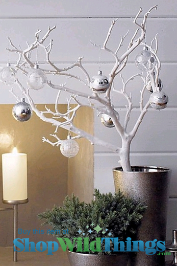 Deck the Halls, Walls, and Balls | Bringing Branches in for Christmas