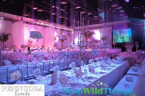Penncora Special Events Designs - Big Beaded Curtain Installations