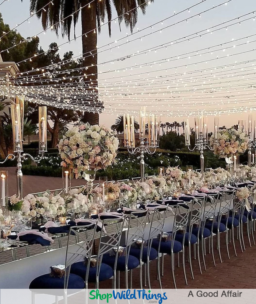 Dressed to Impress Outdoor Wedding Receptions