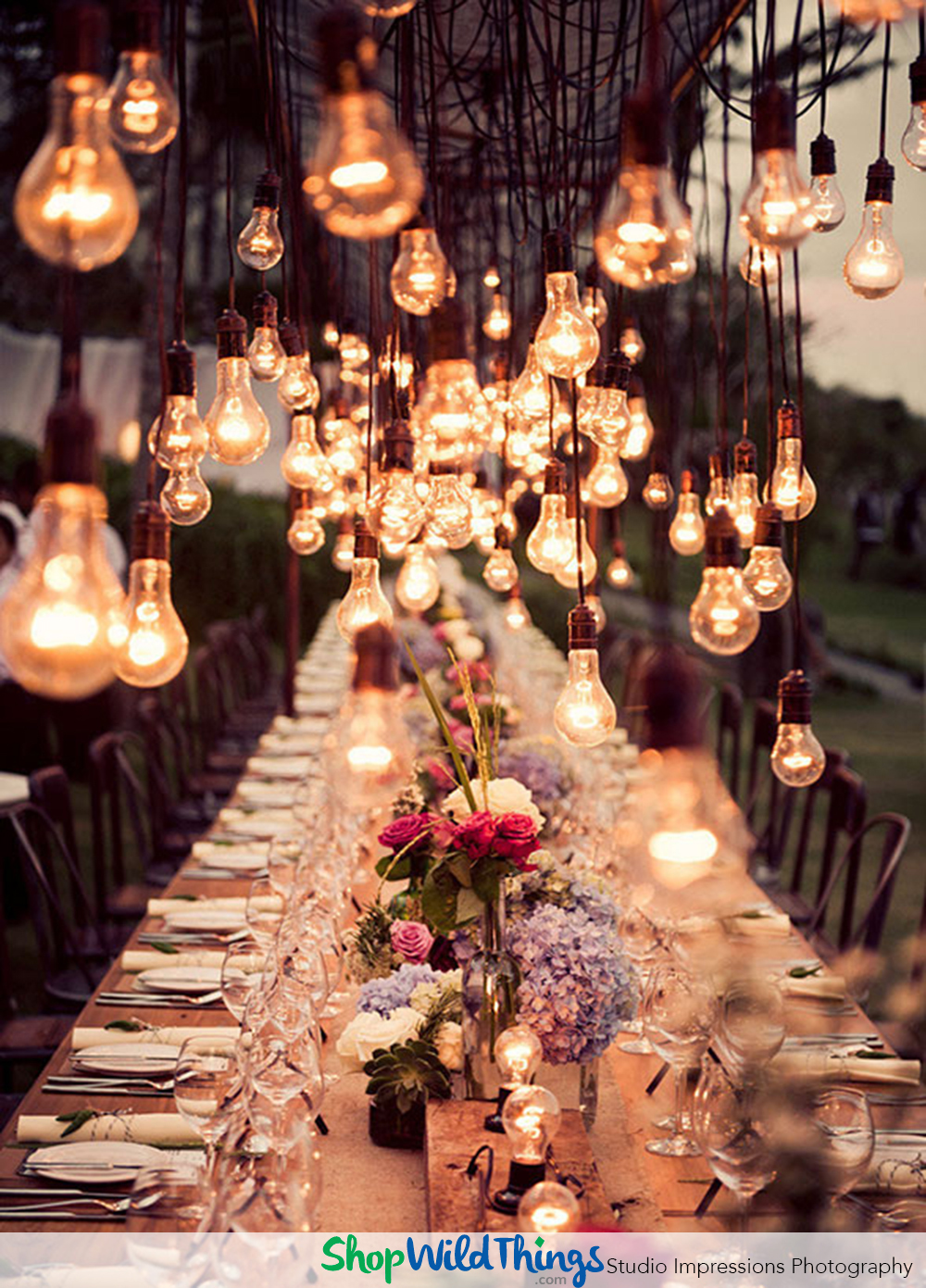 Wedding Reception Chandelier Ideas