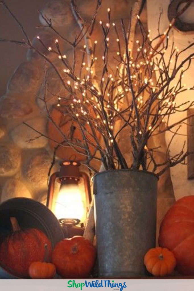 High Impact, Sustainable Fall Decor