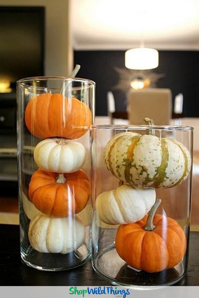 High Impact, Sustainable Fall Decor