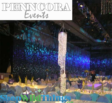 Penncora Special Events Designs - Big Beaded Curtain Installations