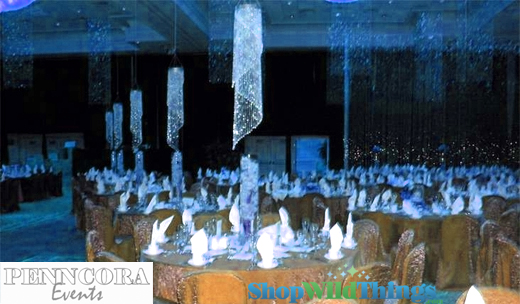 Penncora Special Events Designs - Big Beaded Curtain Installations