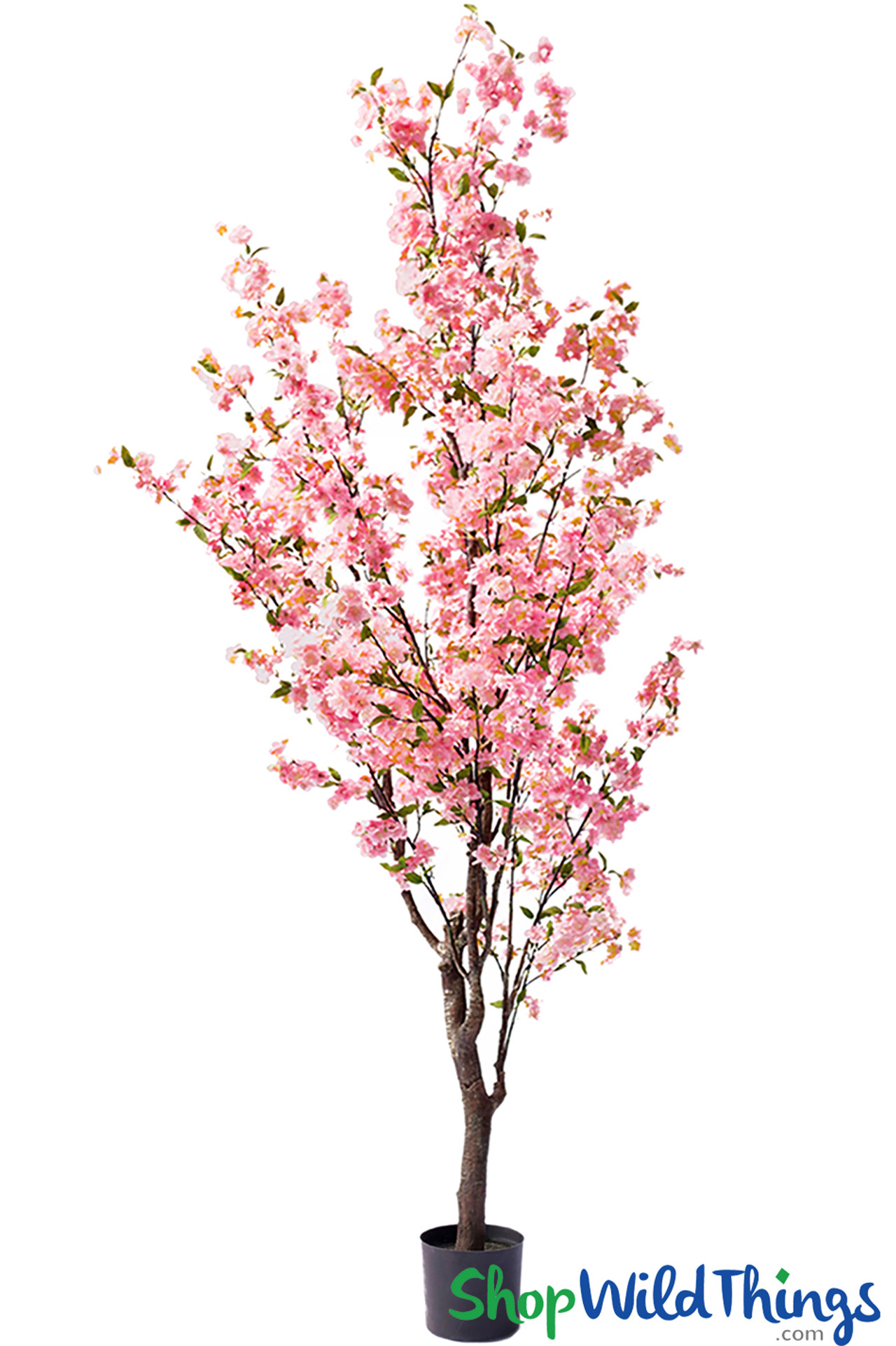 Pink Potted Cherry Blossom Tree | 8.5' Tall | ShopWildThings.com