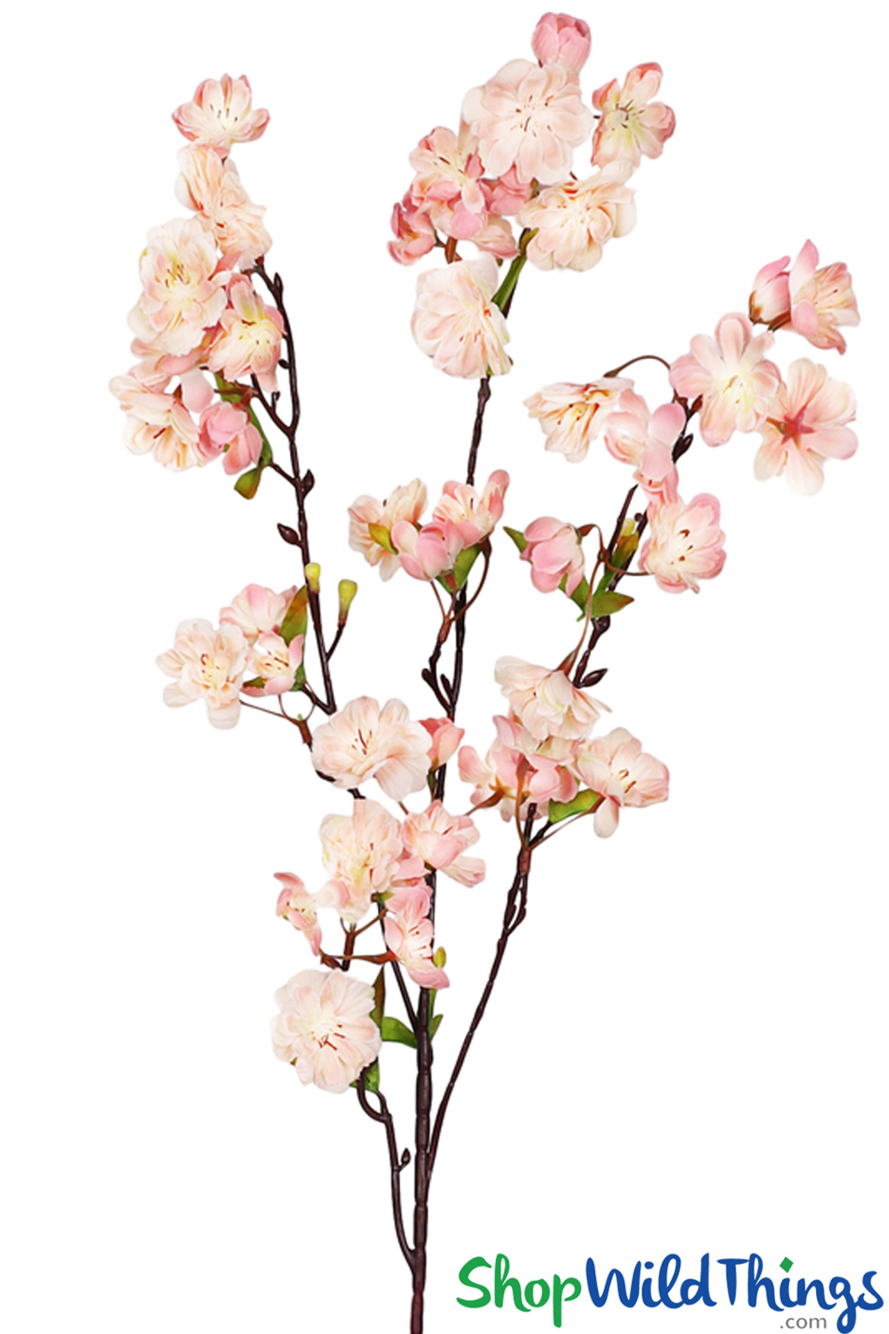 Flowering Plum Blossom Branch| 35