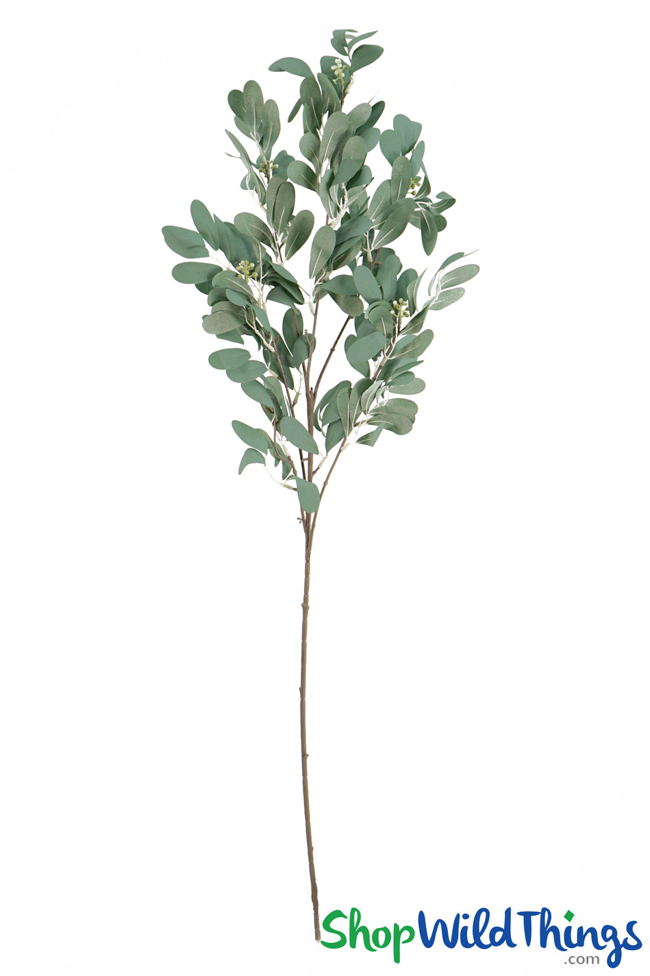 Laurel Green Willow Eucalyptus Branch 36" Tall