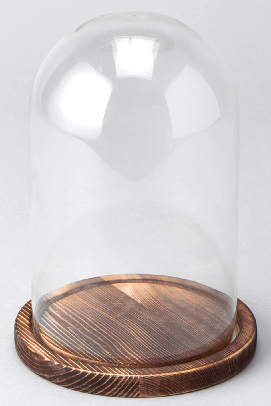 Beauty and The Beast Themed Glass Dome