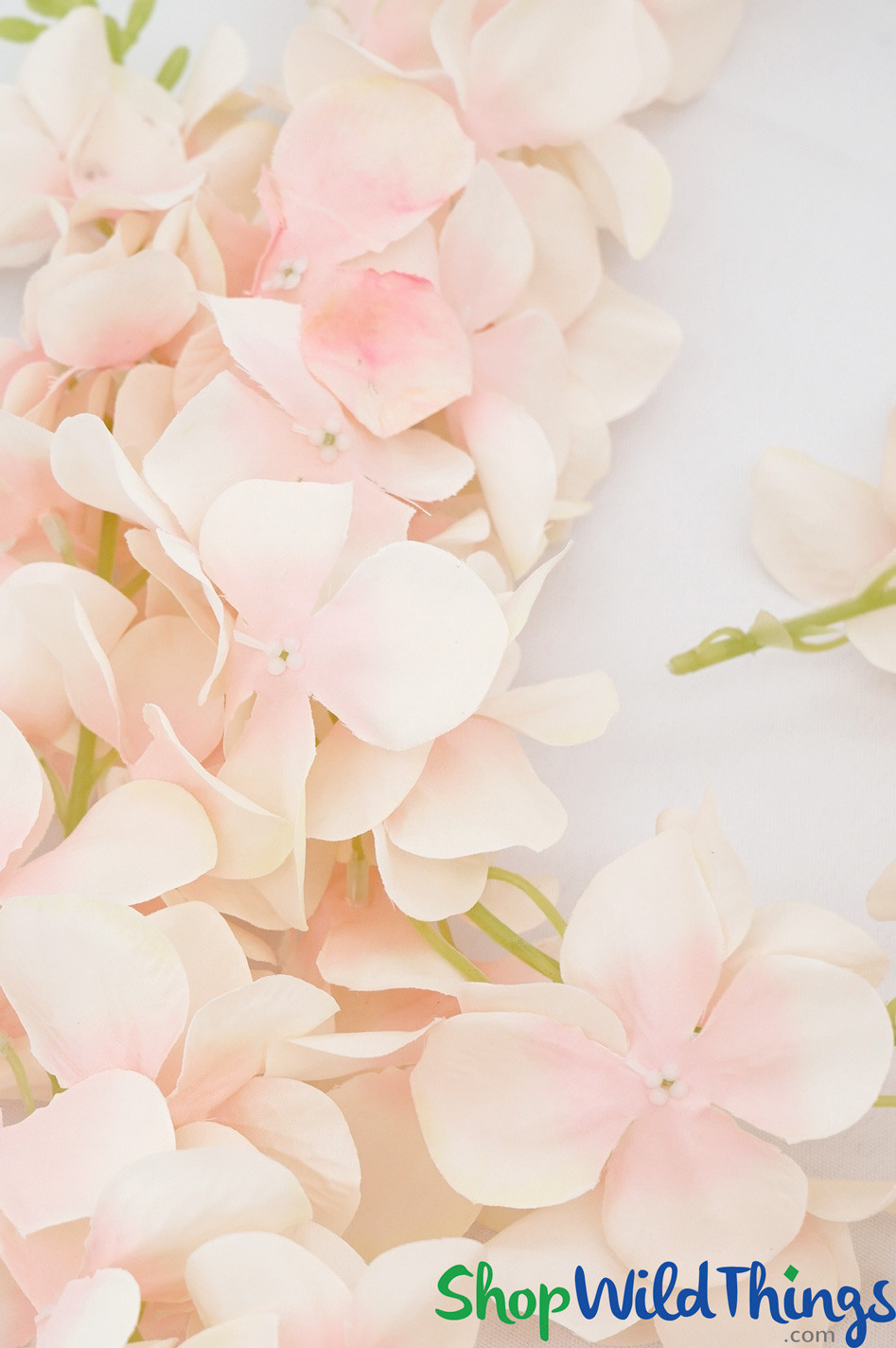 Plumeria Flowering GarlandsMake Hanging Floral