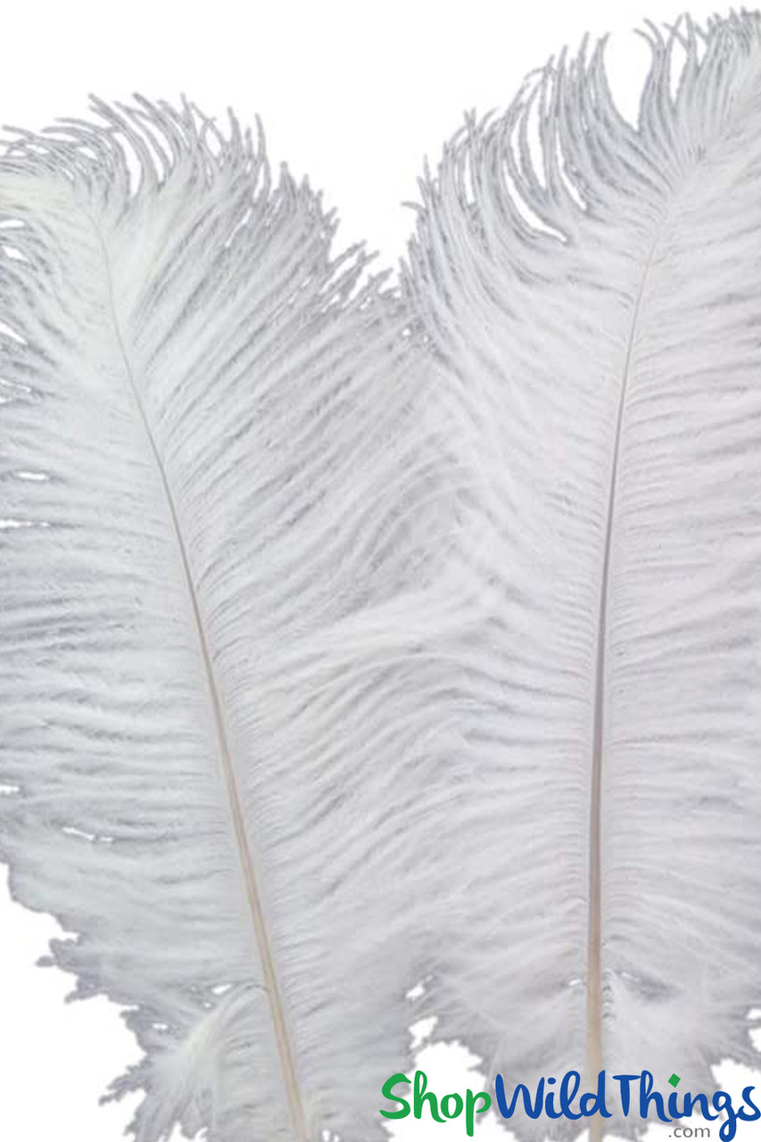 SOLD OUT! Premium Grade 1 Pure White Ostrich Feather Plumes - 24 Long x  8-10 Wide!