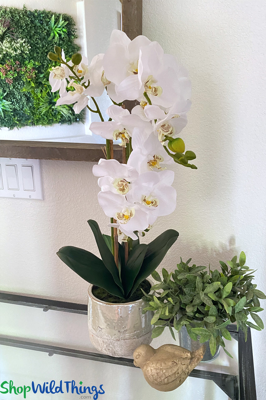 Faux White Orchid Sprays in Pot