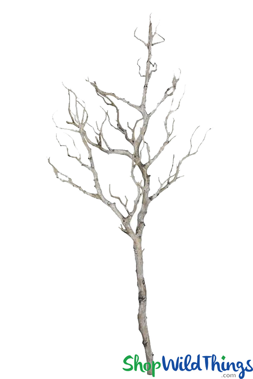 cool tree branch designs