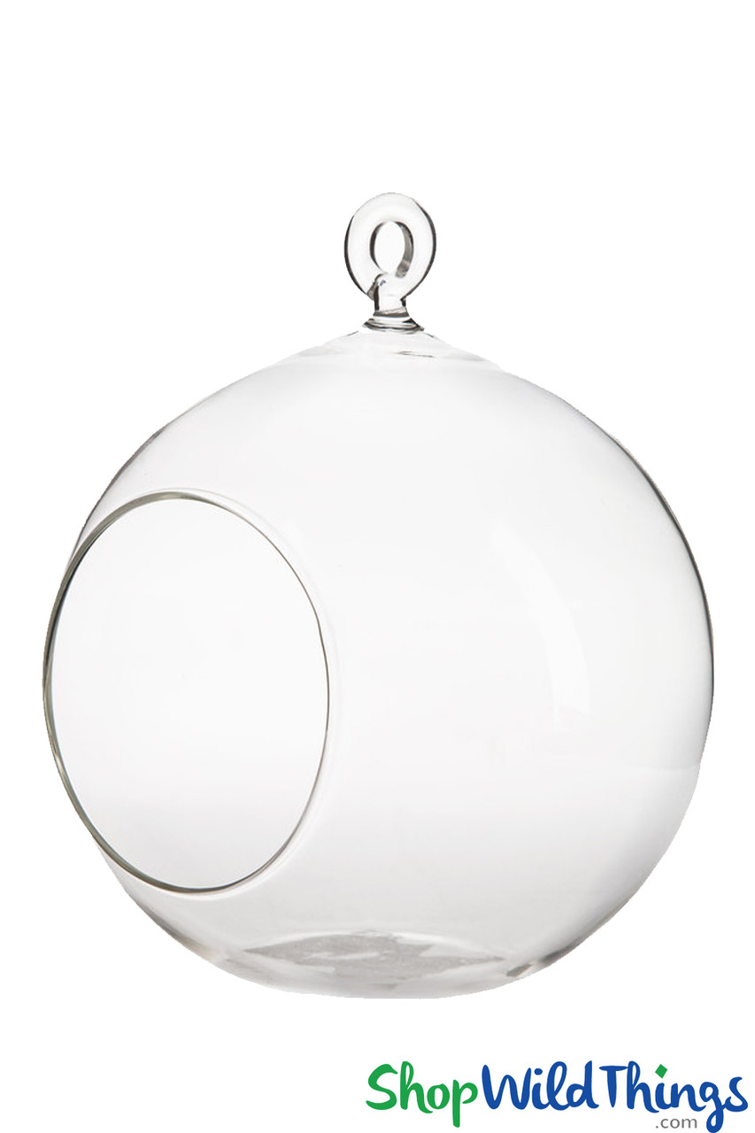 Hanging or Tabletop Clear Glass Globe 4
