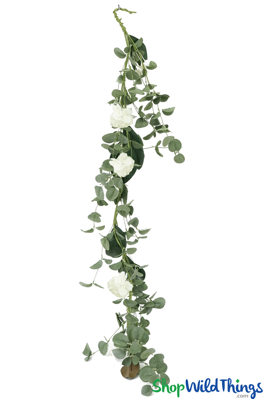 Image of Garland hydrangea 4