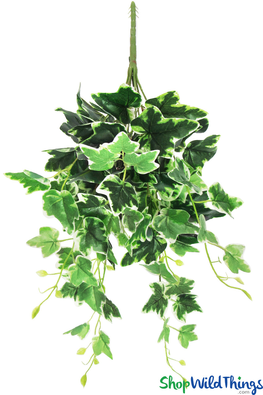 51 in. Artificial Variegated English Ivy Leaf Vine Hanging Plant Greenery Foliage Bush