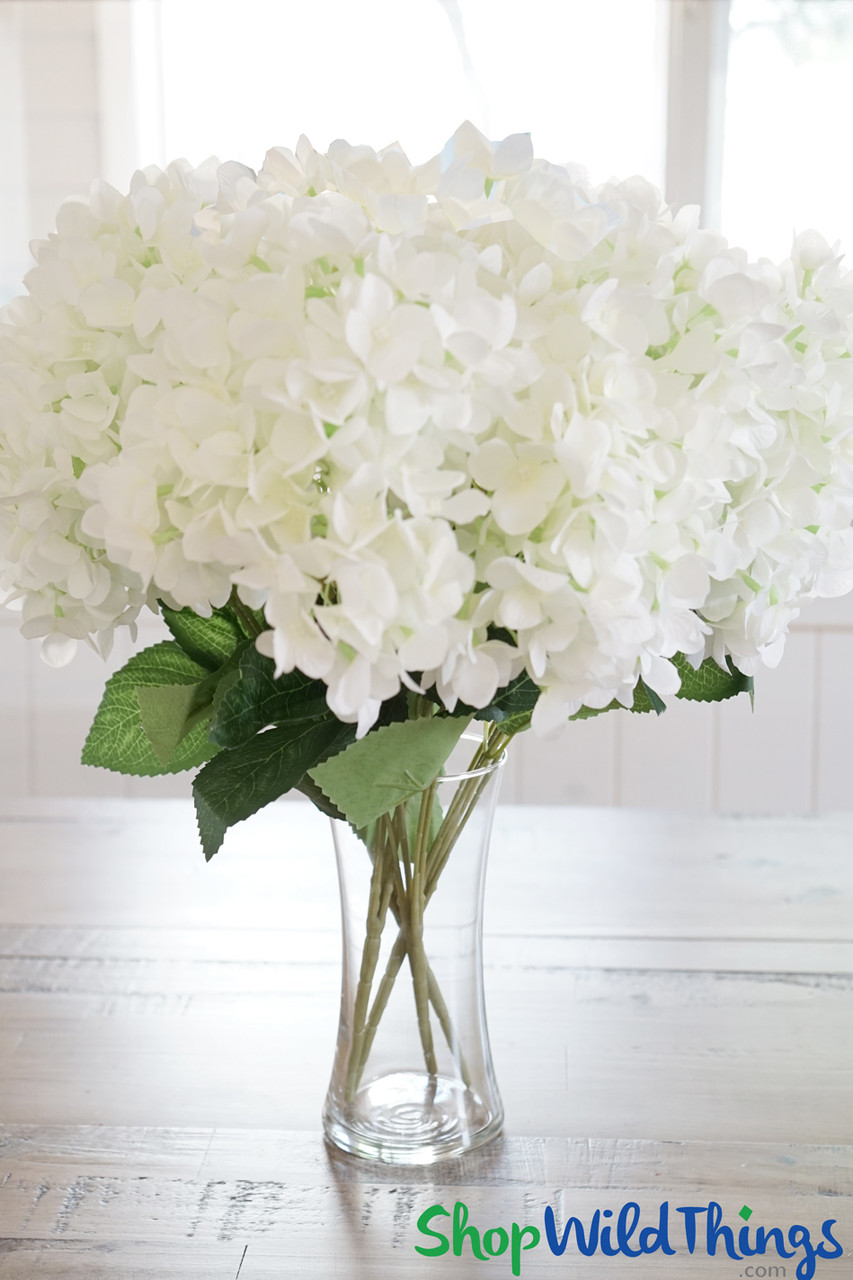 Image of White hydrangea bush in vase