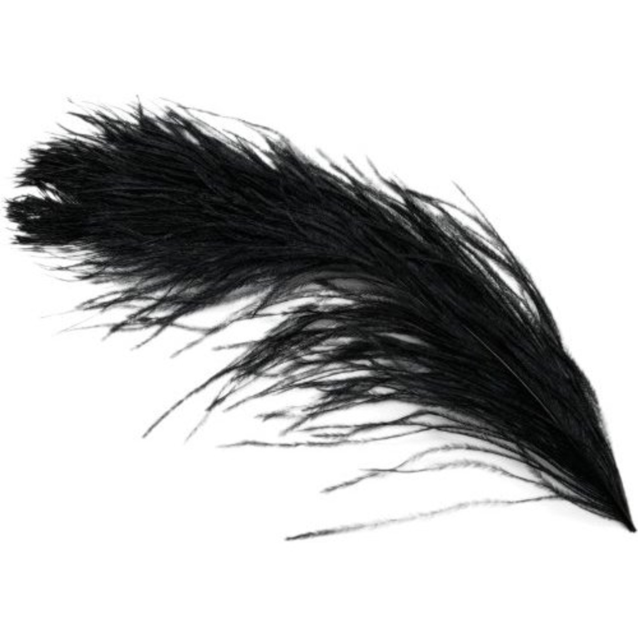 Ostrich Plume medium - Black - feather plus
