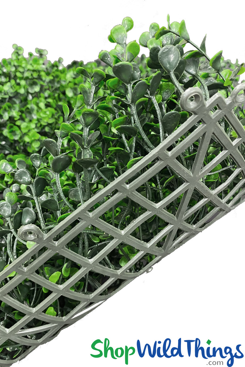 exterior green wall steel matting on Uv Fire Rated Artificial Green Walls Boxwood Backdrop Privacy Screen Shopwildthings Com