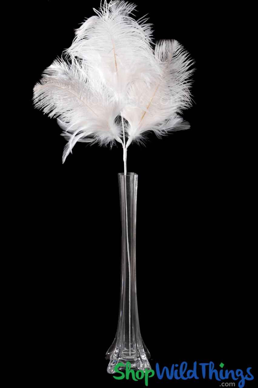 Black Ostrich Feather Sprays - Feathers - Basic Craft Supplies