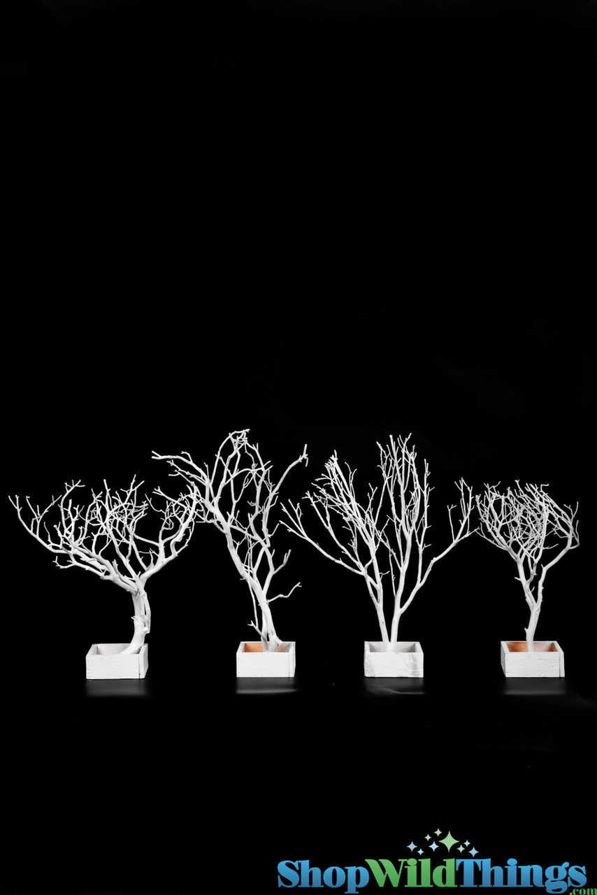 Manzanita Branches Tree Centerpieces for Tables - 23 White Tree Branches  for Decoration, Tall Decorative Tree Natural, Fake Bare Tree, Ornament Tree